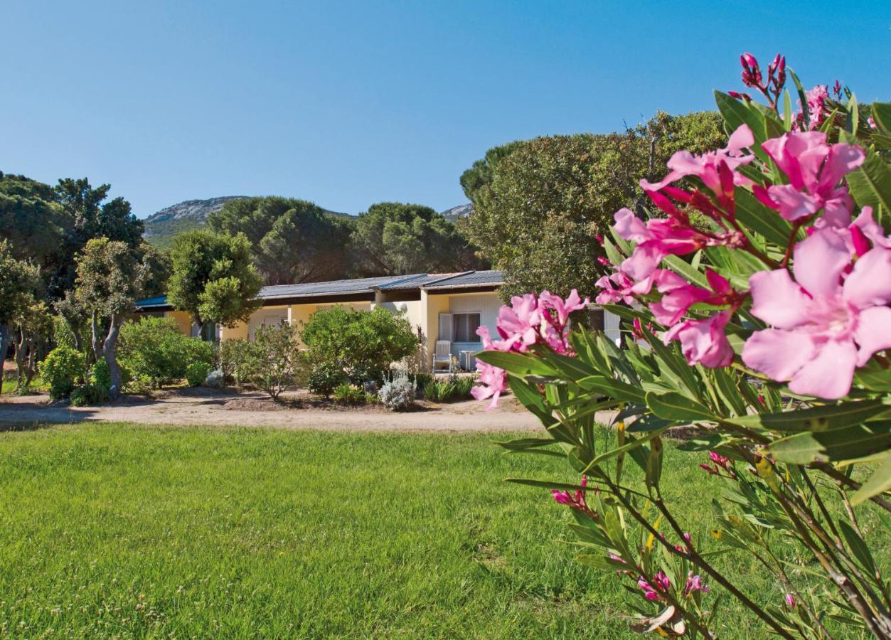 Feriendorf Zum Stoerrischen Esel Hotel Calvi  Exterior photo